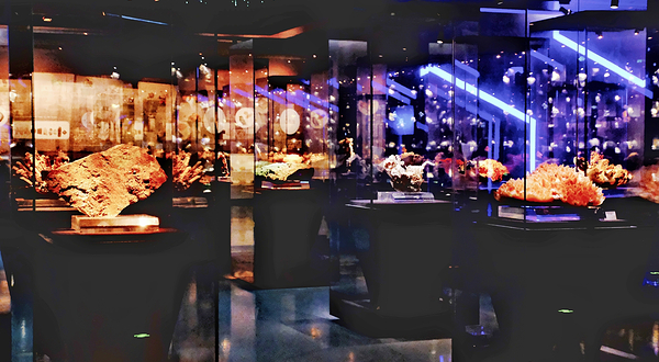 内蒙古自然博物馆