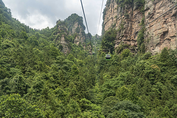 杨家界景区第 35 张图片
