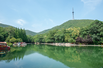 相山国家森林公园第 9 张图片