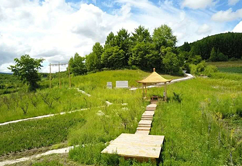长白山第一村风景区第 7 张图片