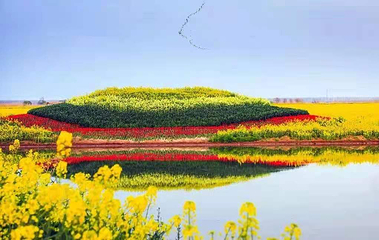 高邮·湖上花海第 2 张图片