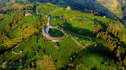 布央茶山旅游区第 2 张图片