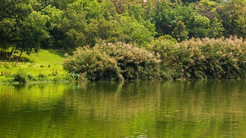 南宁市相思湖公园