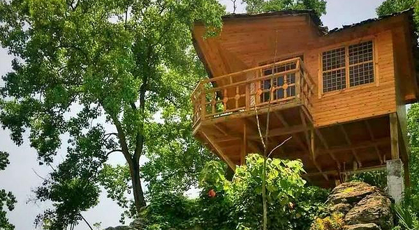 长阳向王寨生态观光园