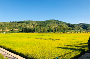 南泥湾风景区湿地公园景点