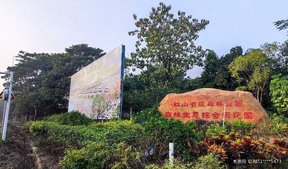 红山森林公园第 1 张图片