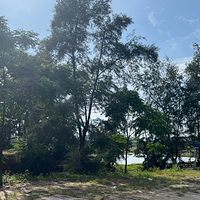 红树林合家欢赶海