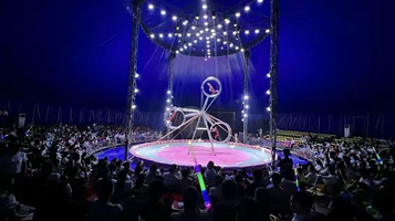 皇家大马戏(奥飞文体集团昌南体育中心店)