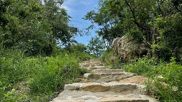 浮槎山森林公园