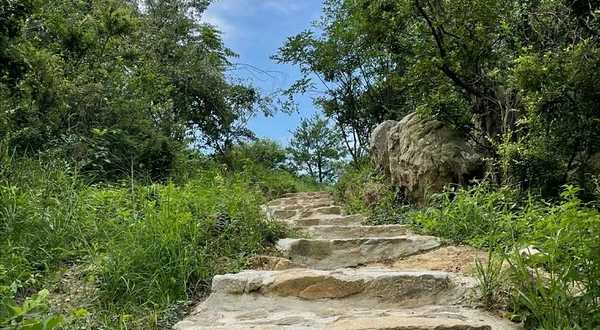 浮槎山森林公园