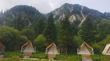 甘海子森林营地