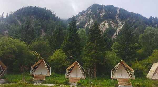 甘海子森林营地