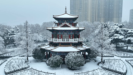 王城公园第 17 张图片