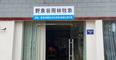 野象谷雨林牧象俱乐部