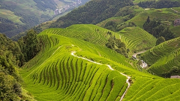 龙脊梯田风景名胜区-平安寨梯田