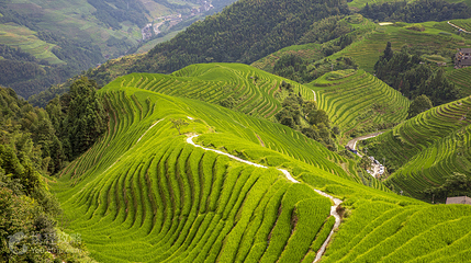 龙脊梯田风景名胜区-平安寨梯田第 2 张图片