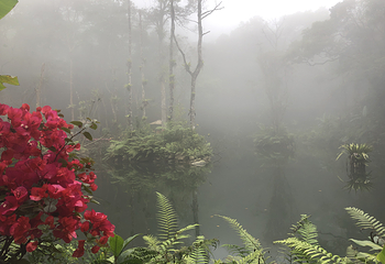 海南百花岭热带雨林文化旅游区第 80 张图片