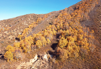 马鞍山景区第 5 张图片