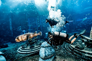 三亚亚特兰蒂斯失落的空间水族馆第 263 张图片