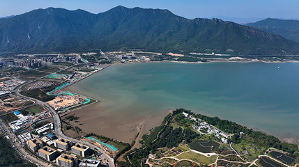 深圳坝光银叶树湿地园第 1 张图片