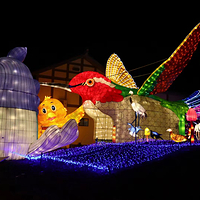 艾雅康鸟类生态博物馆