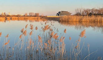 明月湖国家城市湿地公园