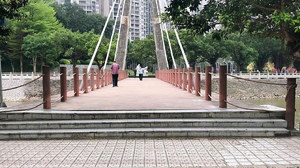 南桥公园第 1 张图片