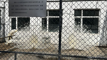 吉林江南公园-动物园