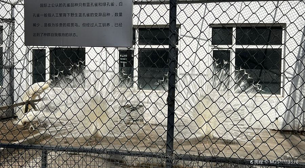 吉林江南公园-动物园