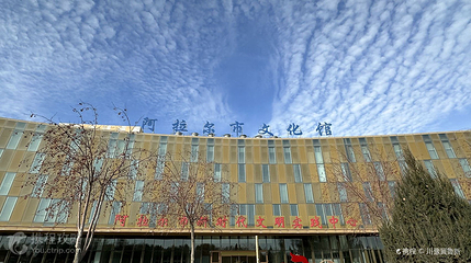 阿拉尔市文化馆第 3 张图片