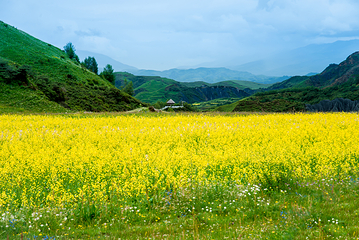 墨石公园景区第 49 张图片