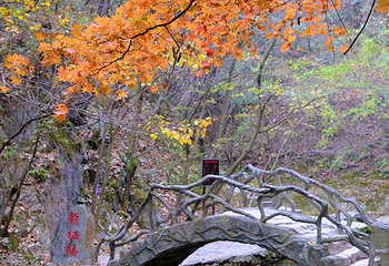 金丝峡景区第 6 张图片