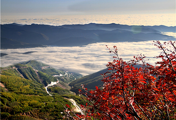 六盘山红军长征旅游区第 23 张图片