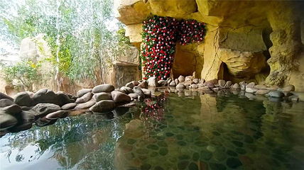 白鹿温泉第 120 张图片