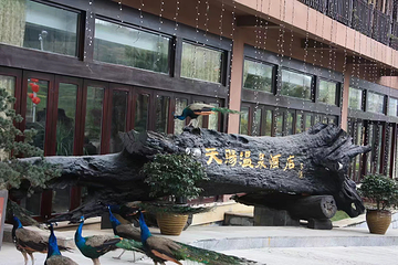 剑门关天赐温泉第 16 张图片