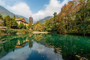 天目山自然保护区第 7 张图片