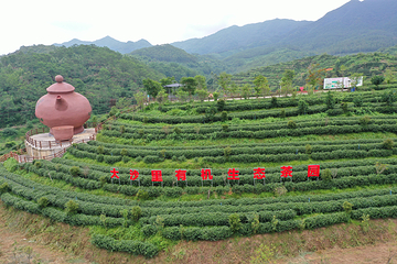 大沙里·欢茶谷第 19 张图片