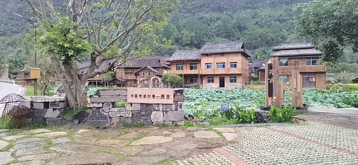 荔波茂兰自然保护区第 22 张图片