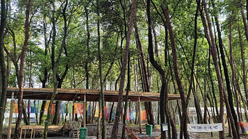 程思全家庭农场