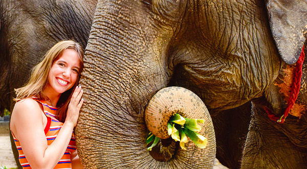 苏梅岛大象丛林保护区