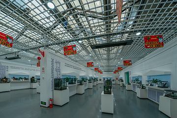 乌鲁木齐市植物园第 16 张图片