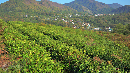 黄龙岘村第 5 张图片