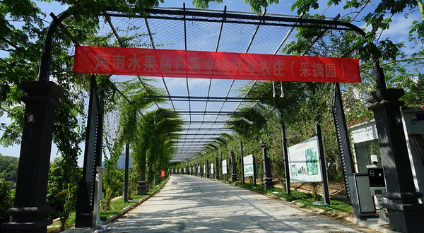 海南热带水果基地·芒果鸡·湖畔烤肉·垂钓