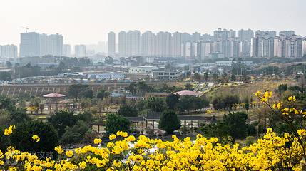 南宁市江南公园第 3 张图片