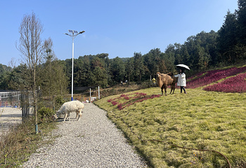 铜锣山生态旅游度假区梦想家乐园第 7 张图片