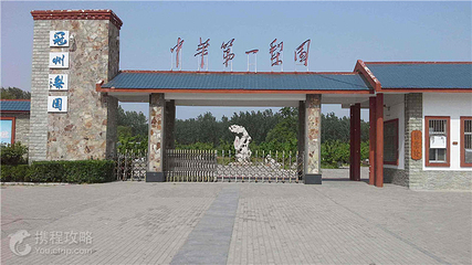 中华第一梨园第 2 张图片
