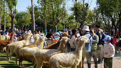 南京金牛湖野生动物王国第 5 张图片