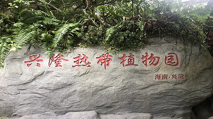 兴隆热带植物园第 57 张图片