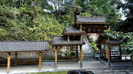 东峰林景区第 1 张图片