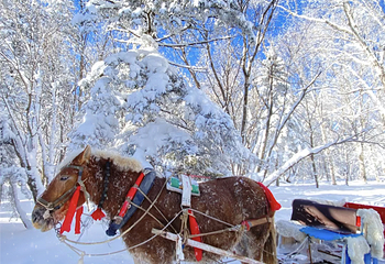 亚布力滑雪旅游度假区第 58 张图片